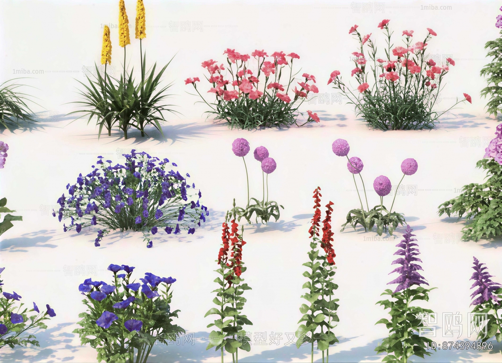 Modern Flowers And Grass
