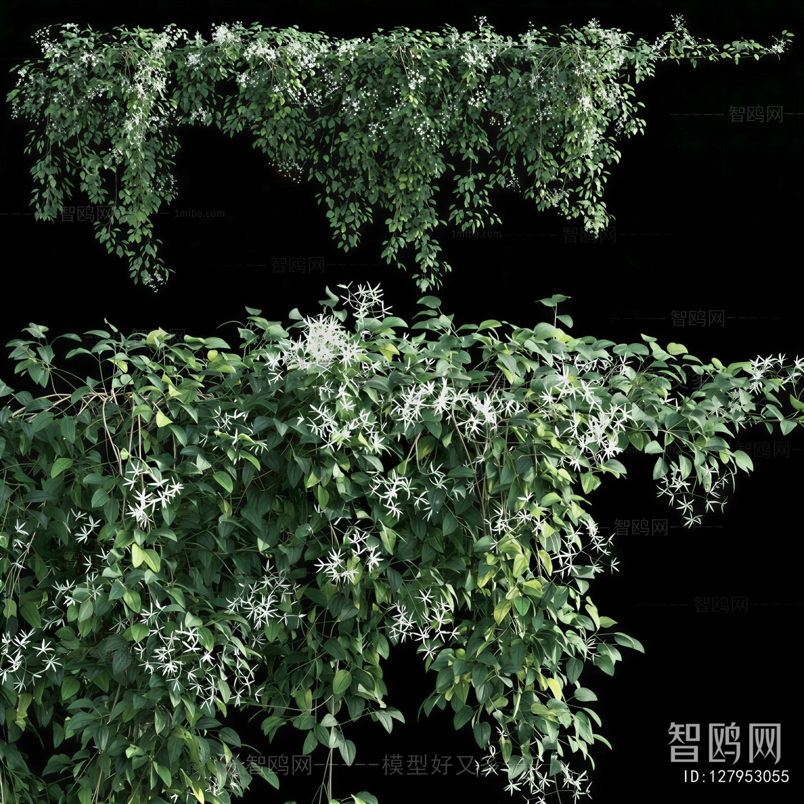 Modern Vine