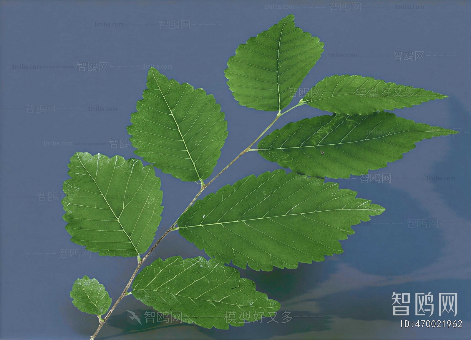 Modern Tree/shrub/grass