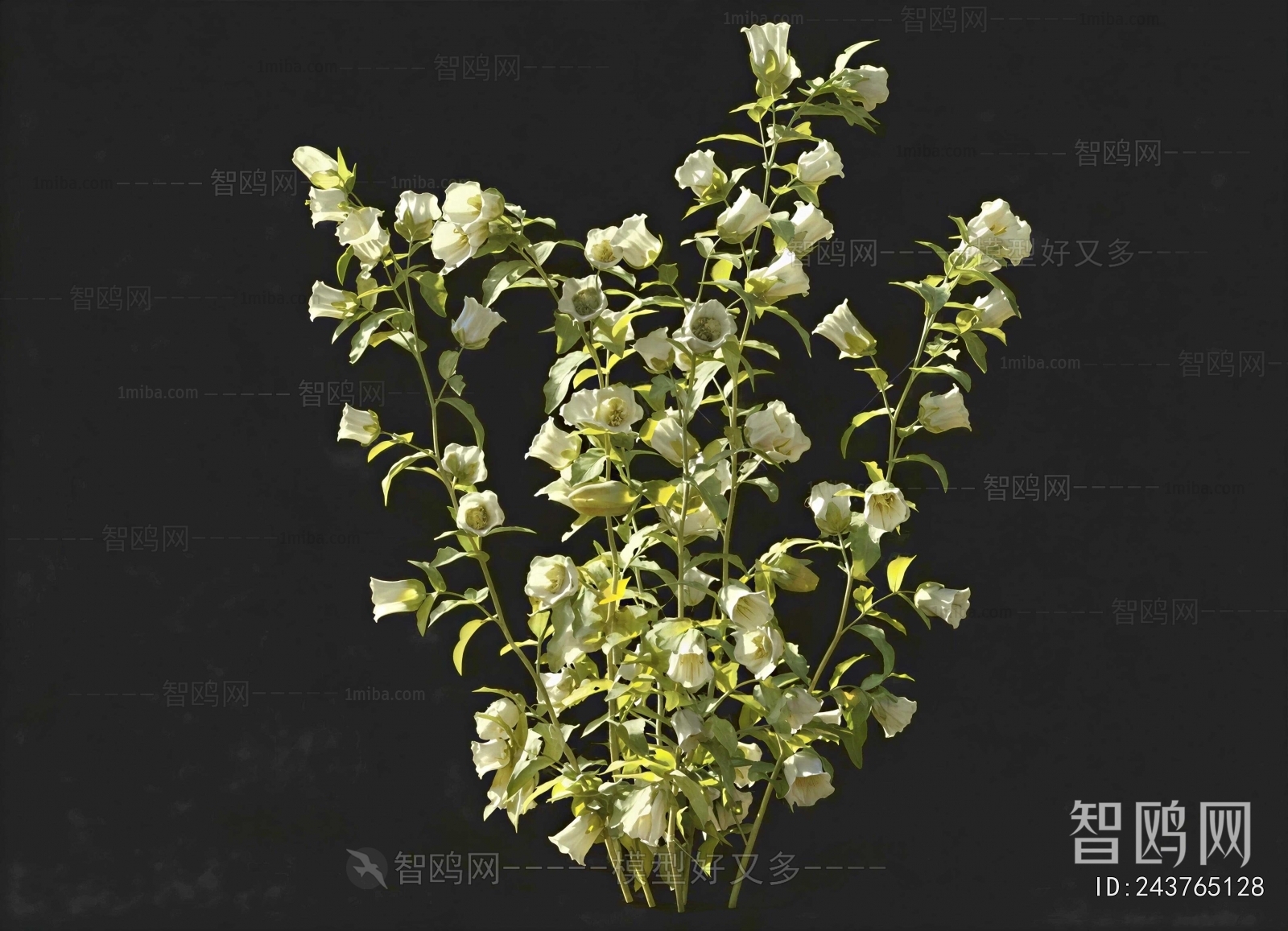 Modern Flowers And Grass