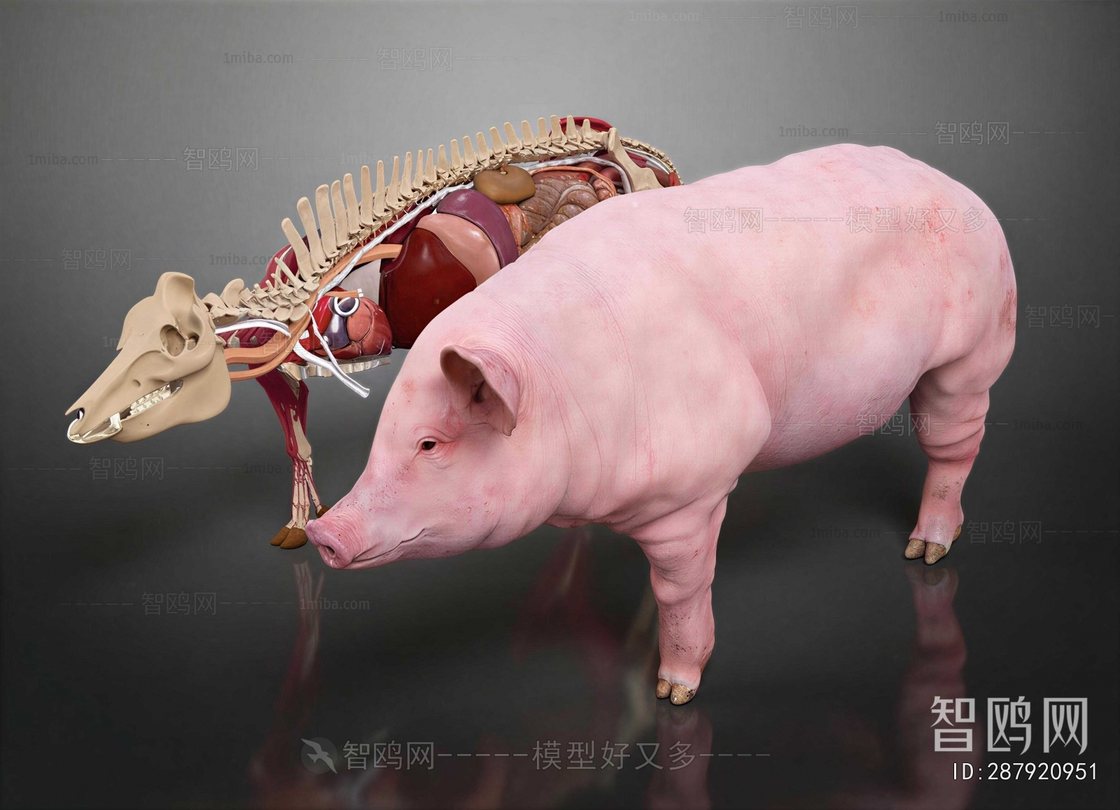 Modern Animal Pig