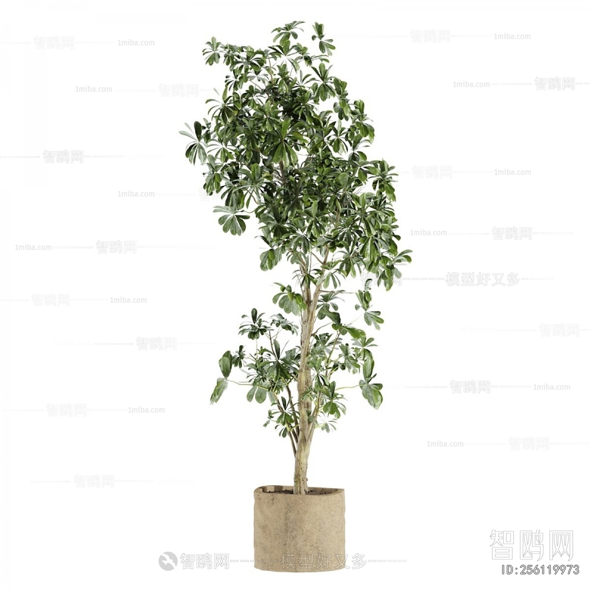 Modern Ground Green Plant Potted Plants