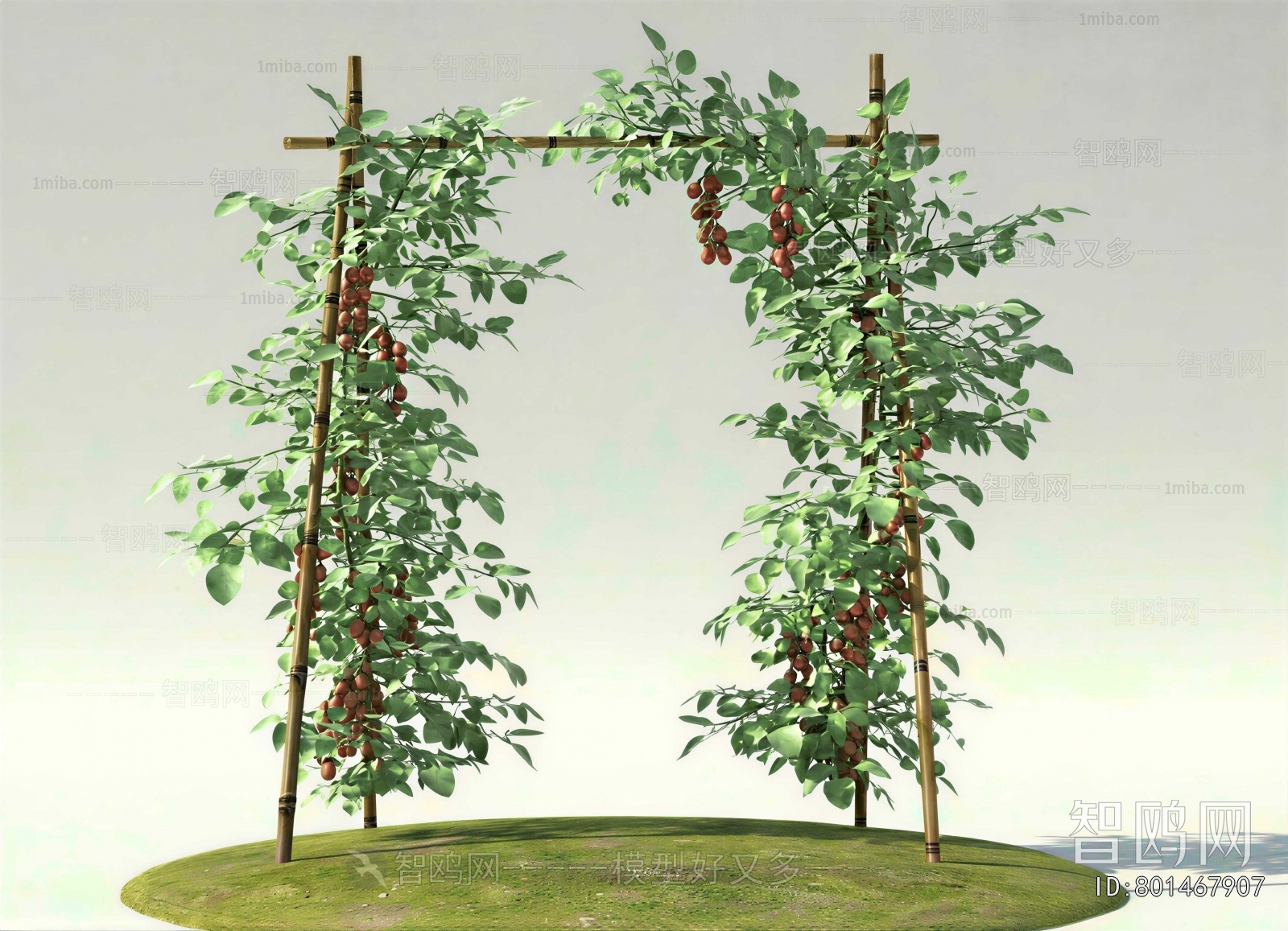Modern Vine