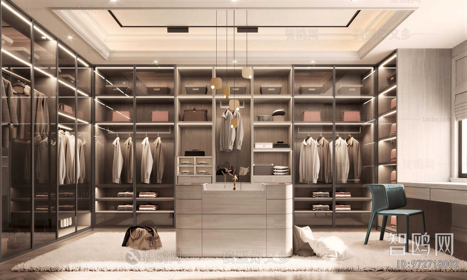 Modern Clothes Storage Area