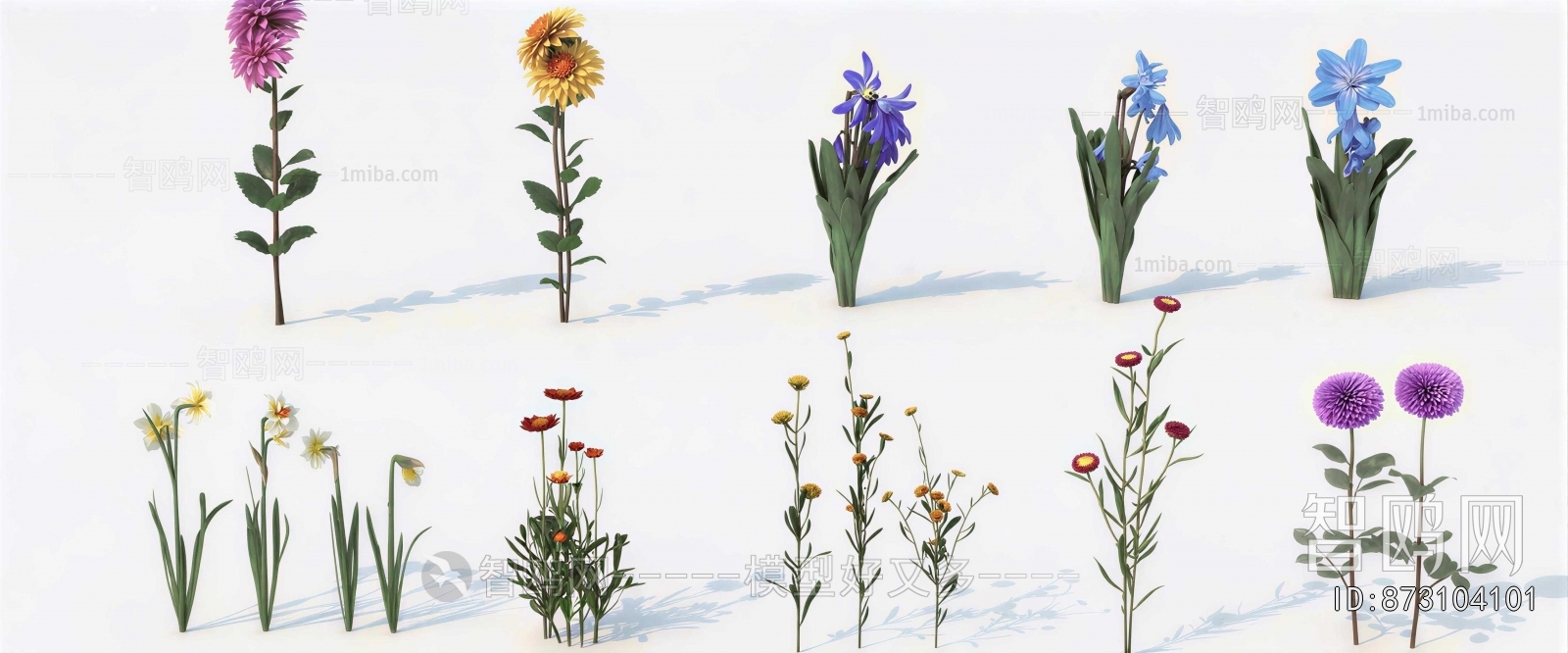 Modern Flowers And Grass