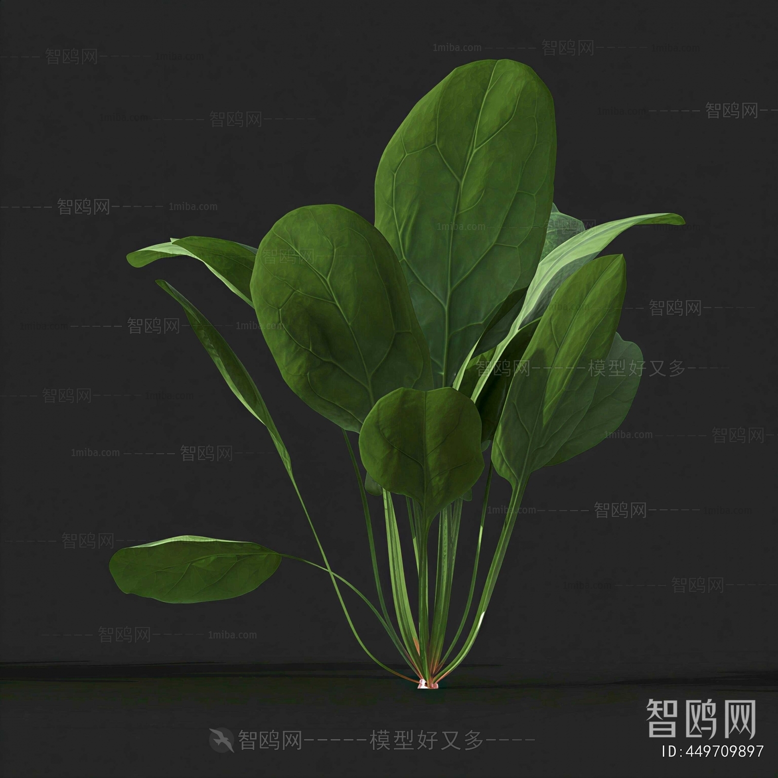 Modern Crop