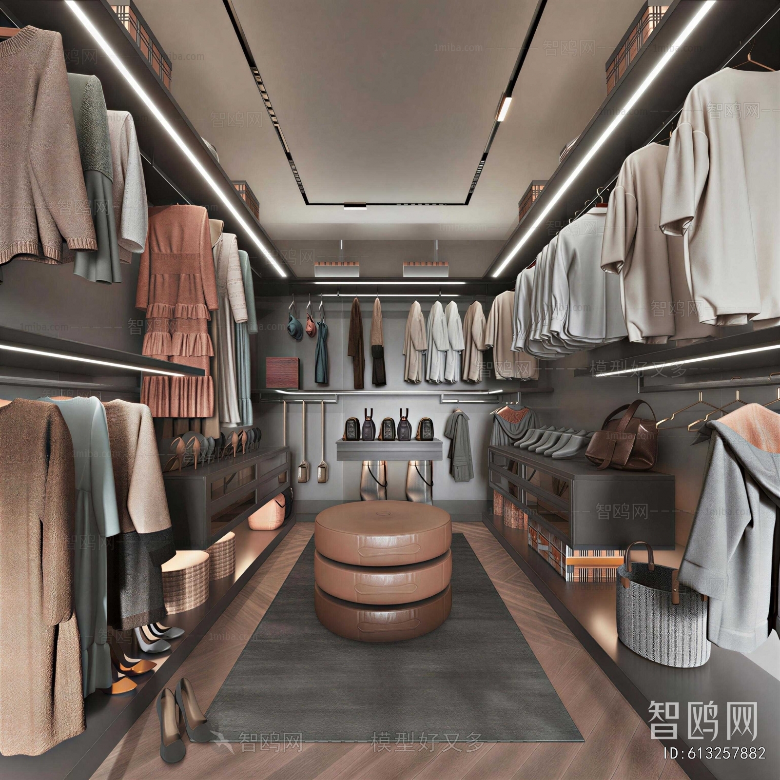 Modern Clothes Storage Area