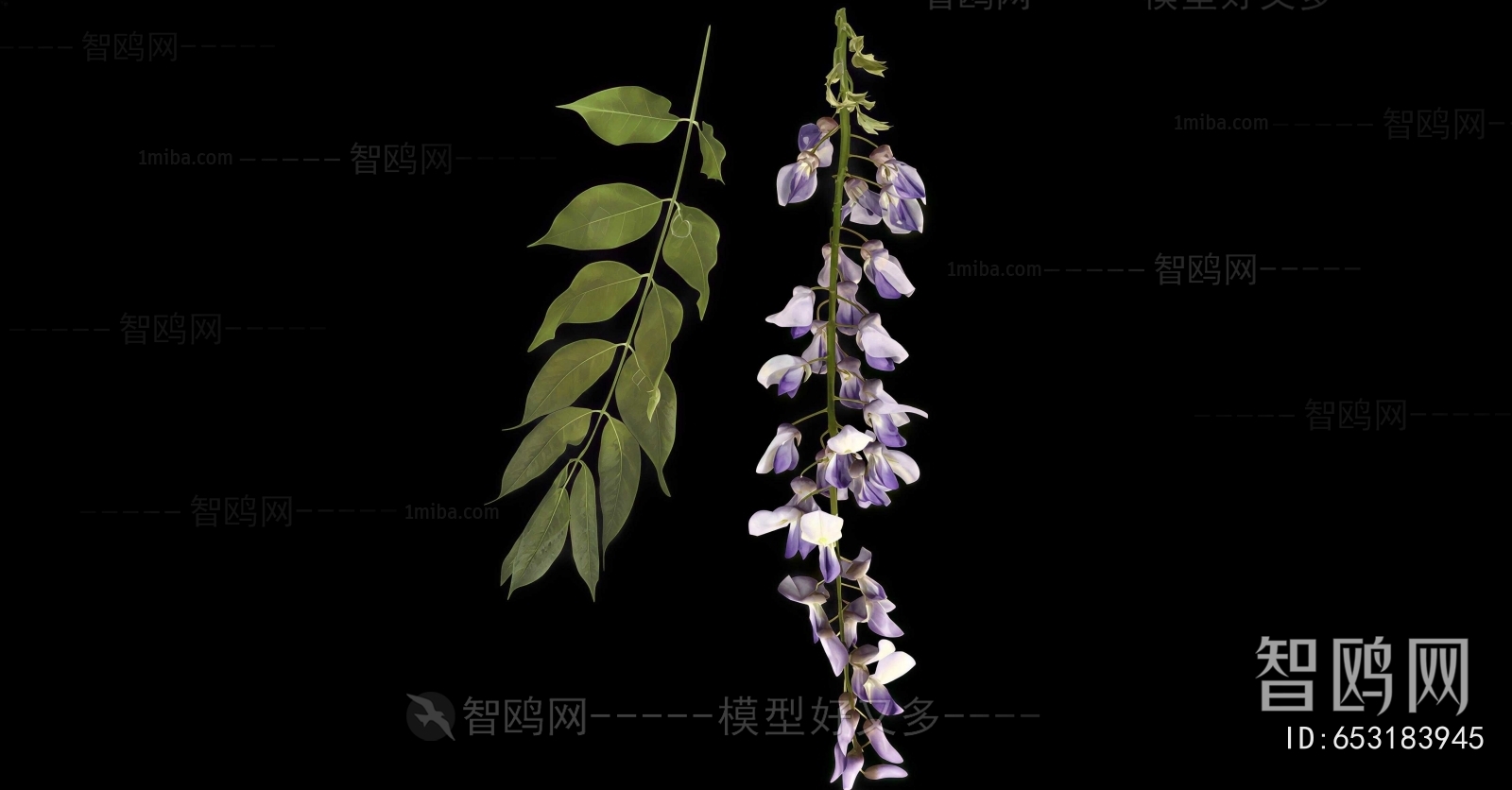 Modern Flowers And Grass