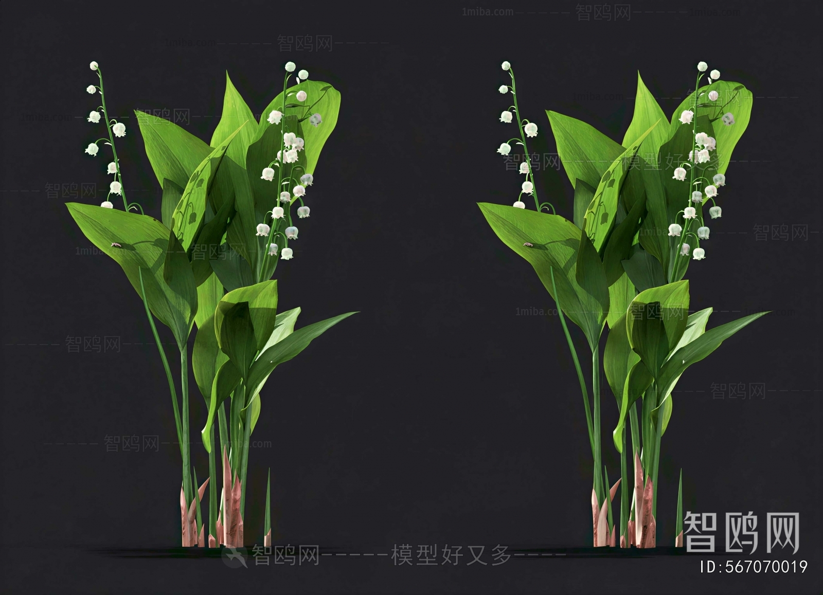 Modern Flowers And Grass