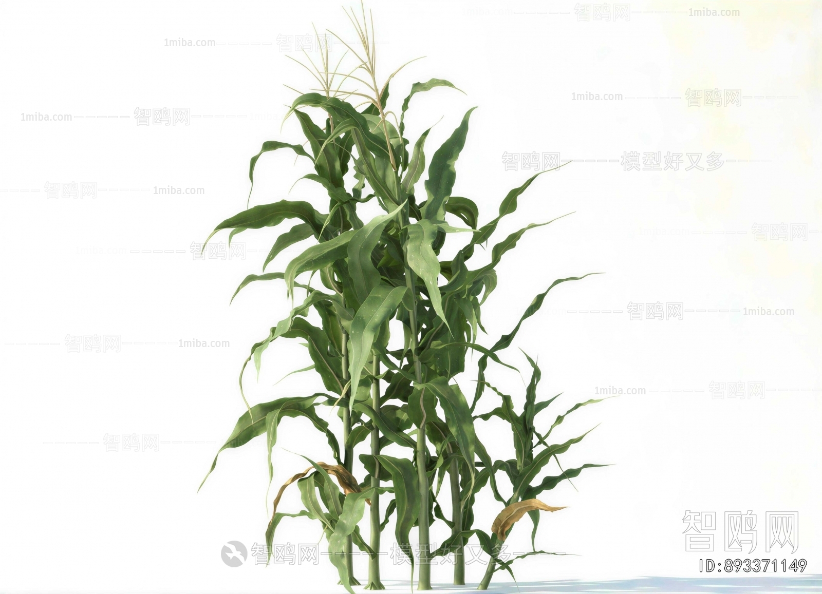 Modern Crop