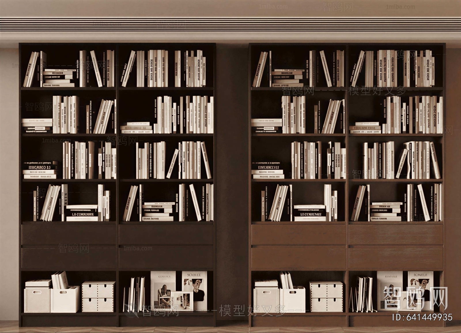 Modern Bookcase