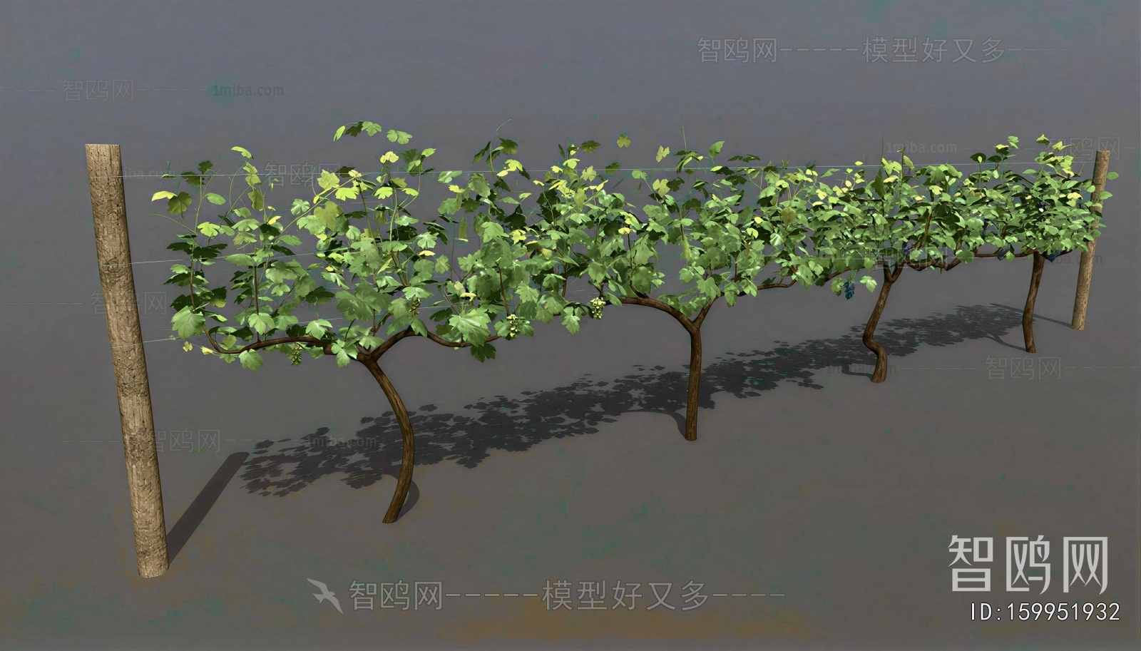Modern Tree