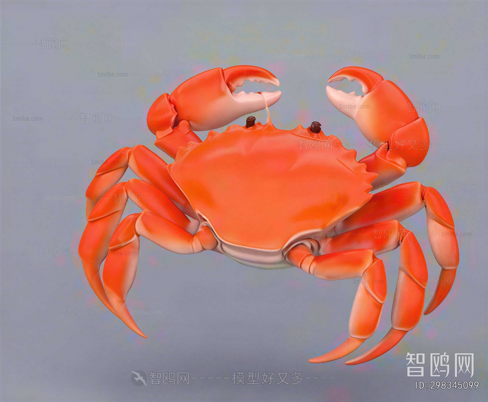 Modern Aquatic Animals