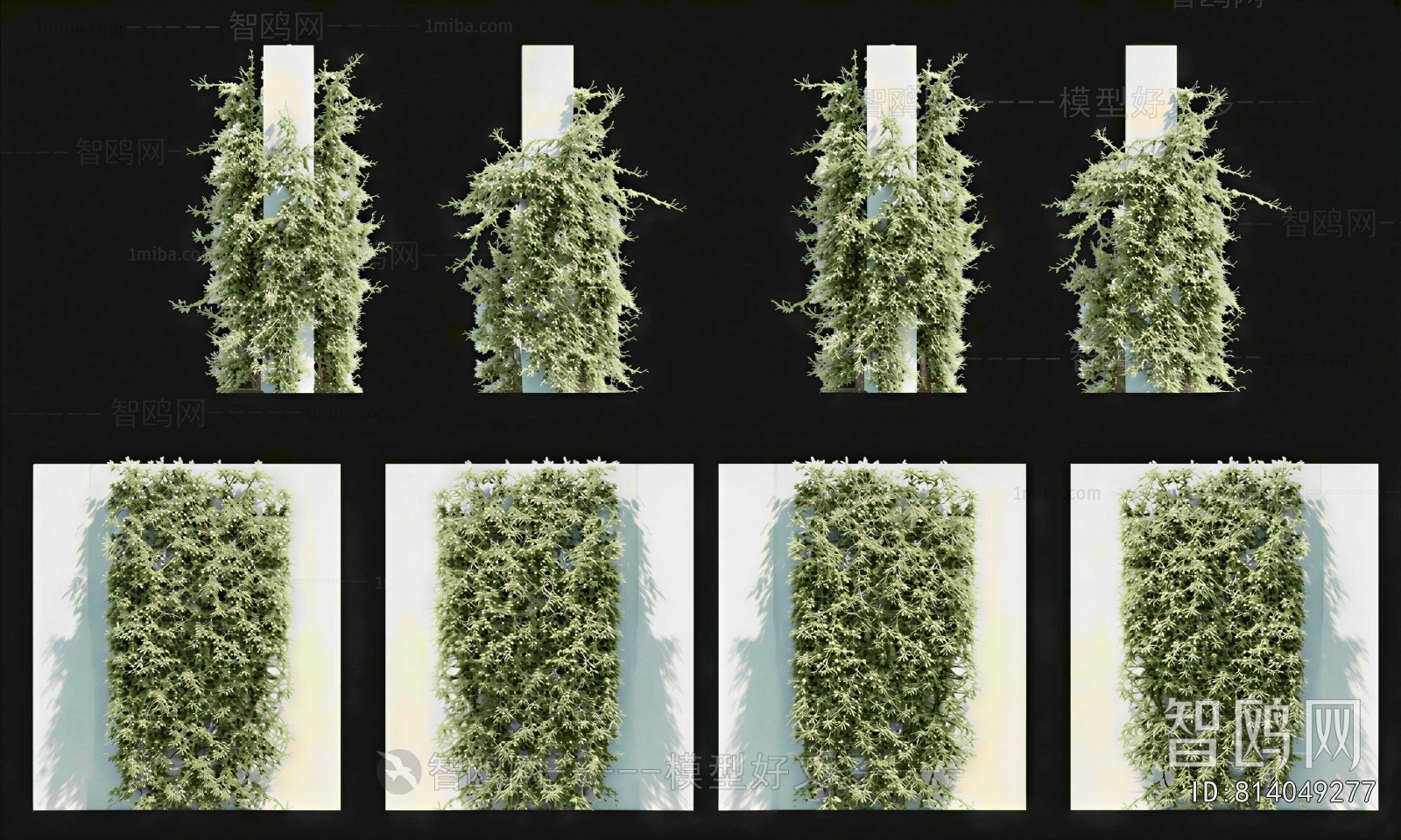 Modern Vine
