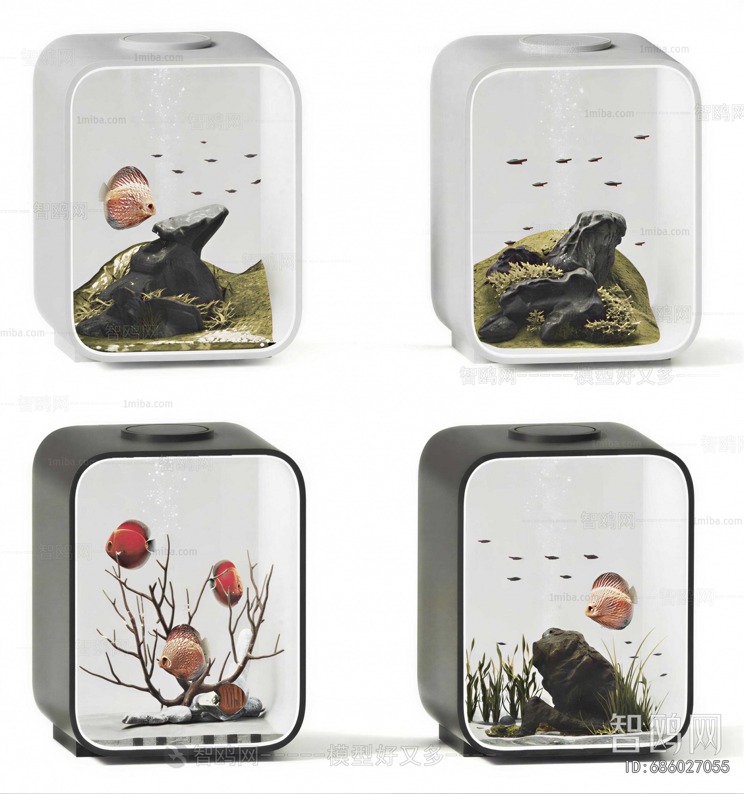 Modern Fish Tank