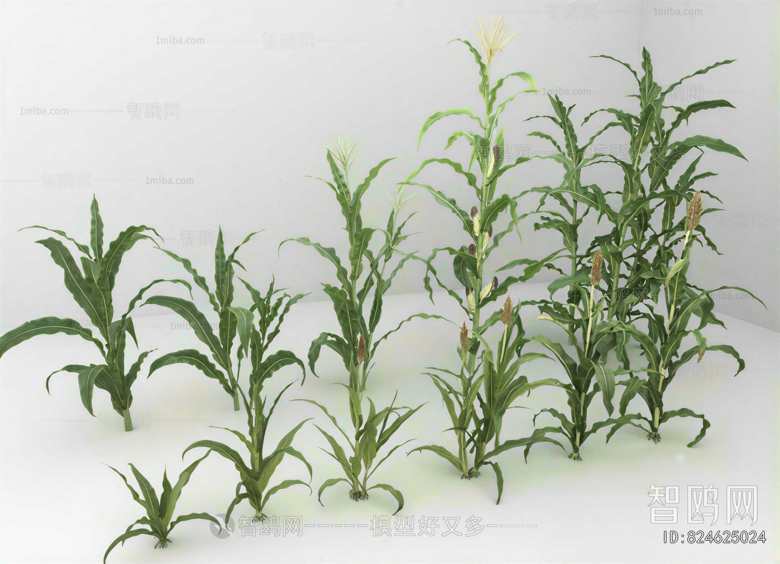 Modern Flowers And Grass
