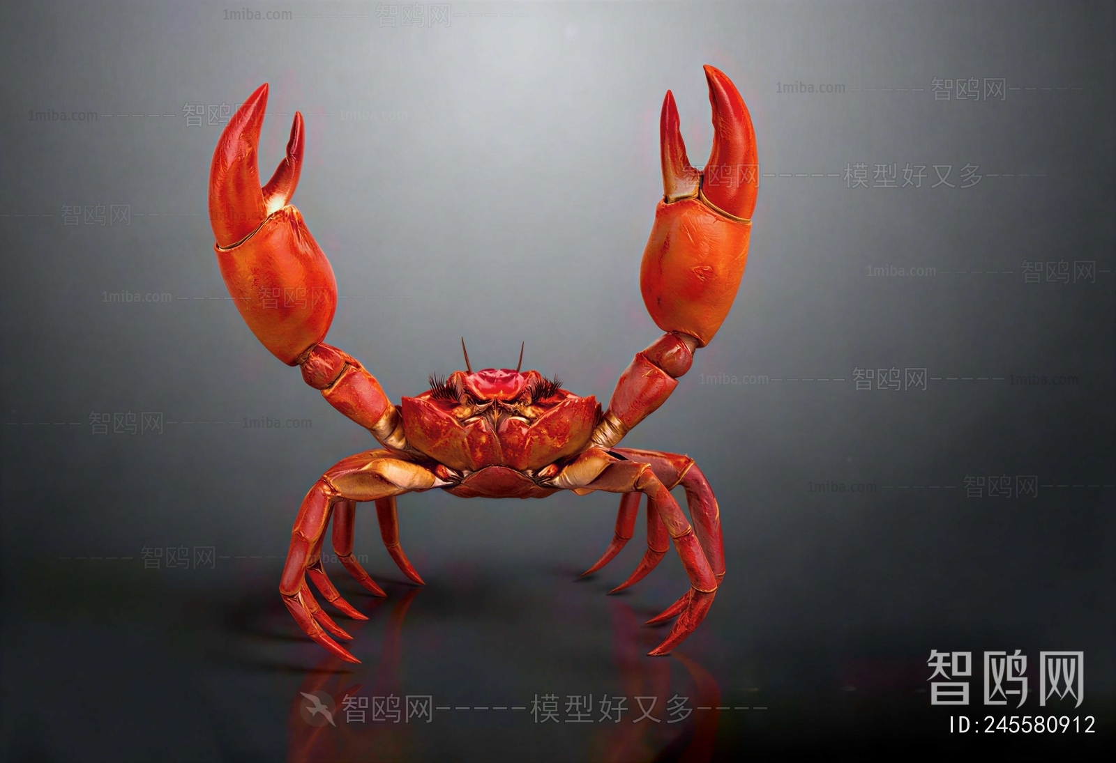 Modern Aquatic Animals