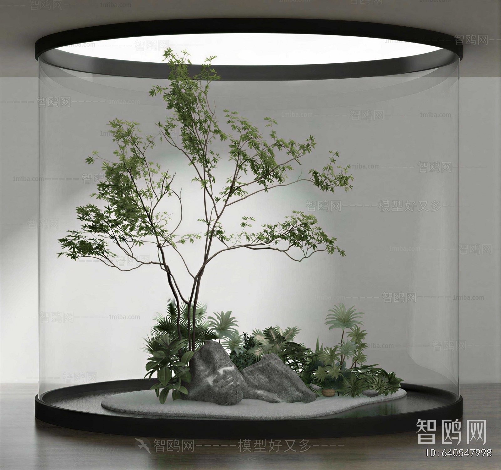 Modern Plant Landscaping