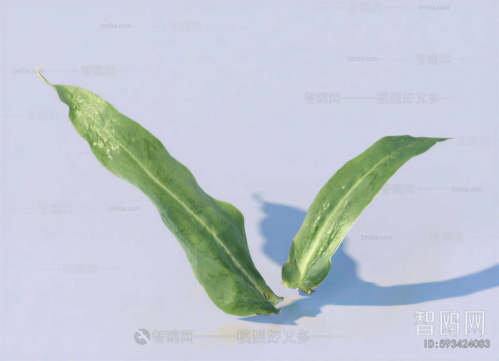 Modern Plant