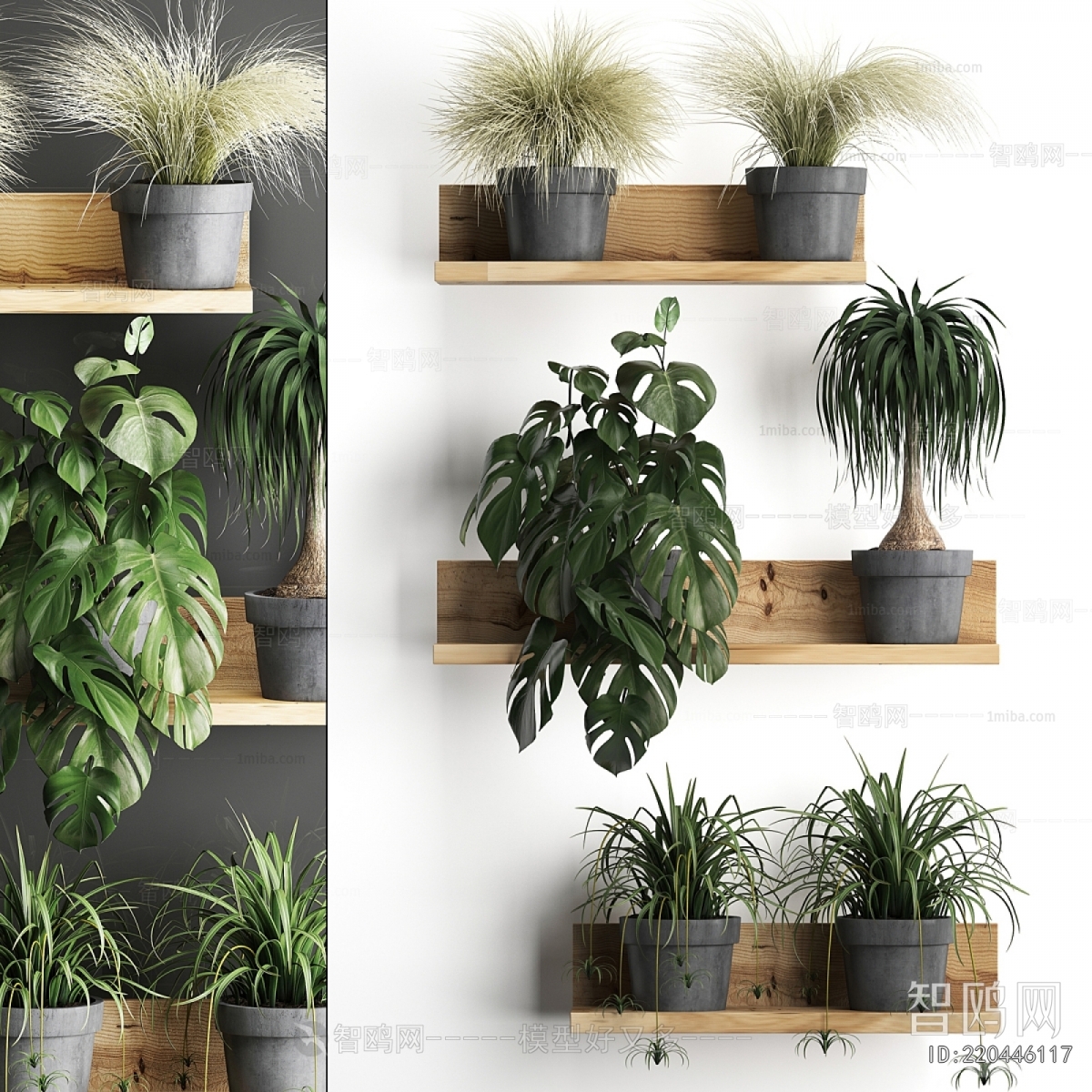 Modern Potted Green Plant