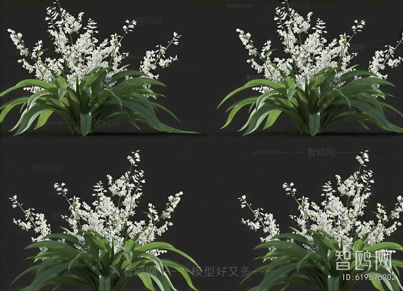 Modern Flowers And Grass