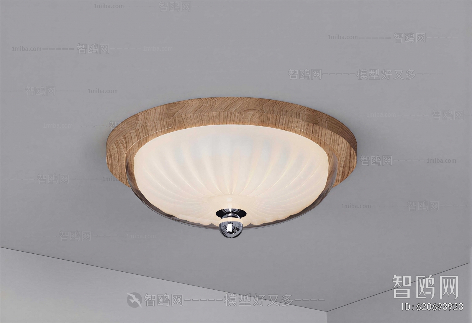Modern Ceiling Ceiling Lamp