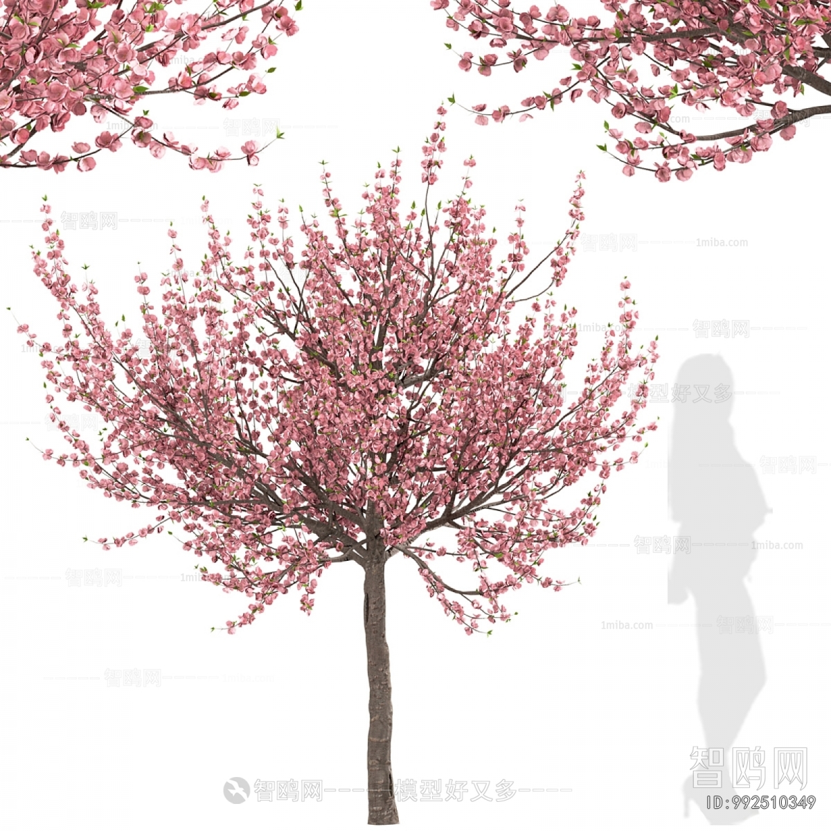 Modern Tree