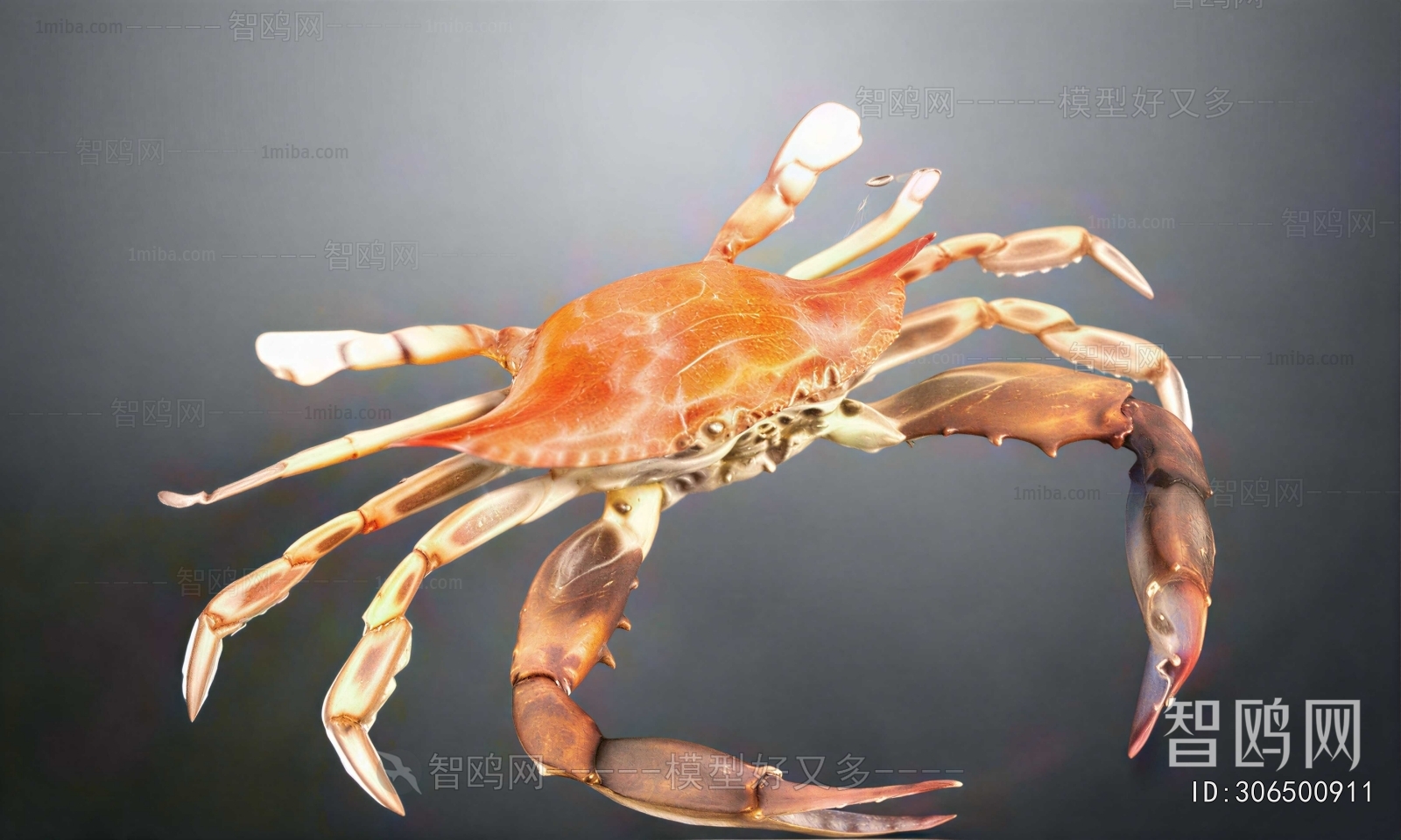 Modern Aquatic Animals