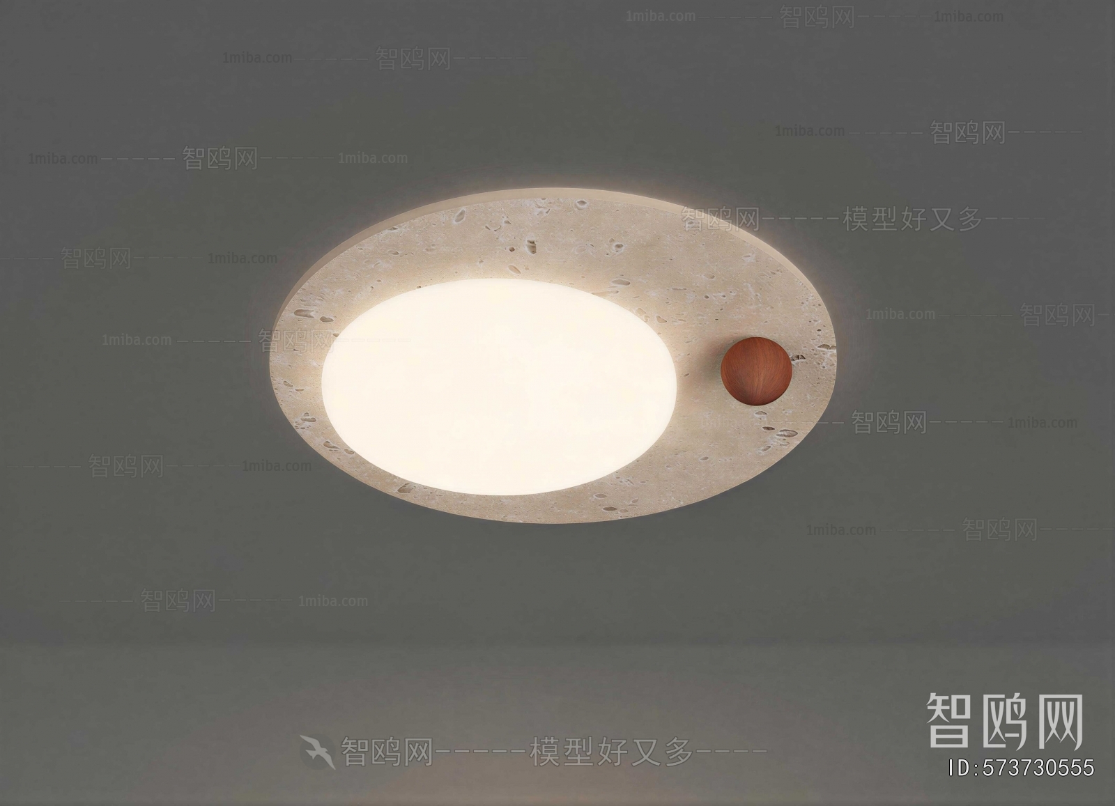 Modern Ceiling Ceiling Lamp