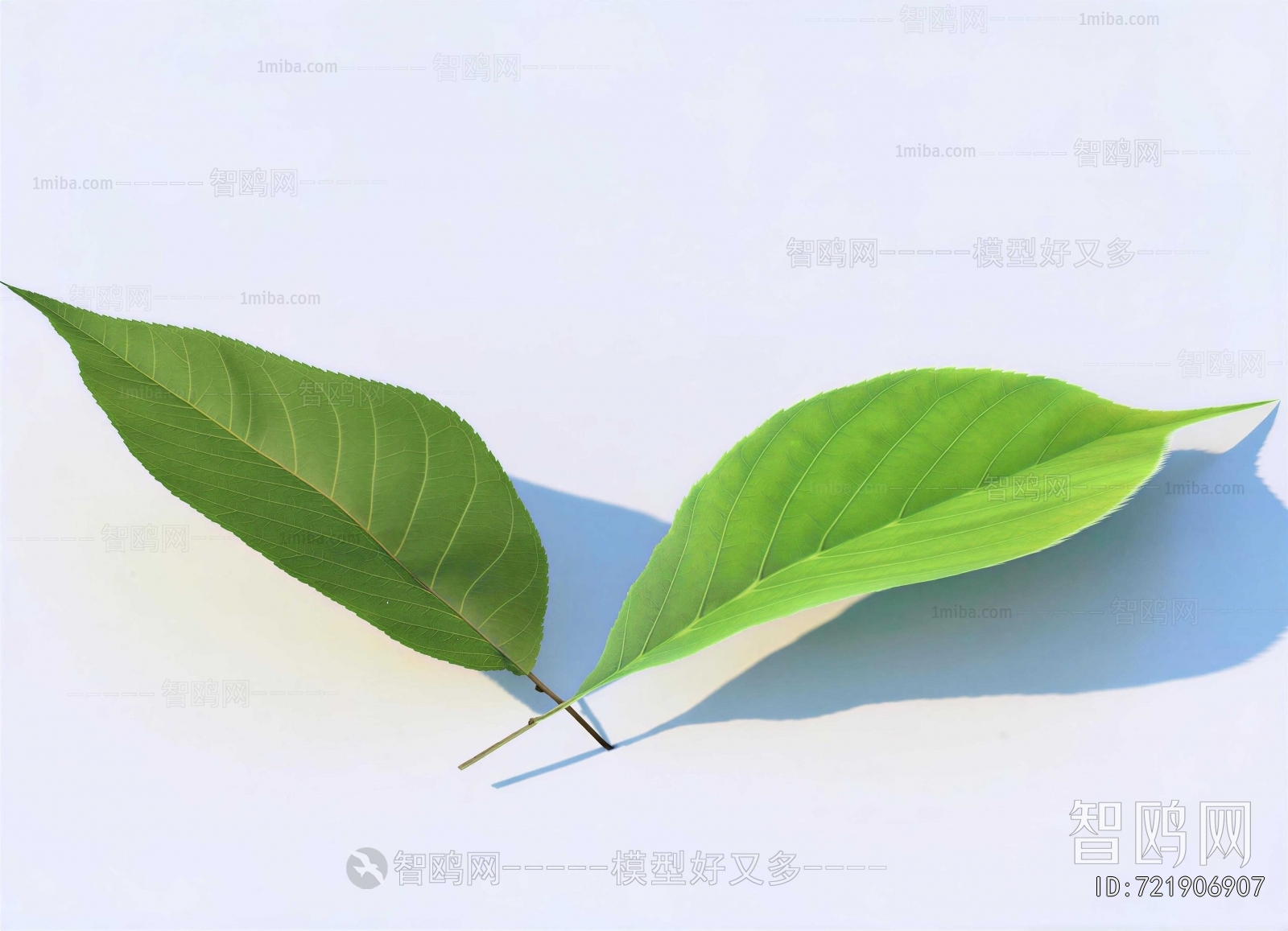 Modern Plant