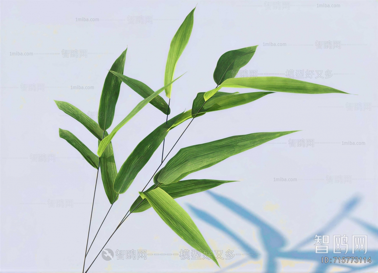 Modern Plant