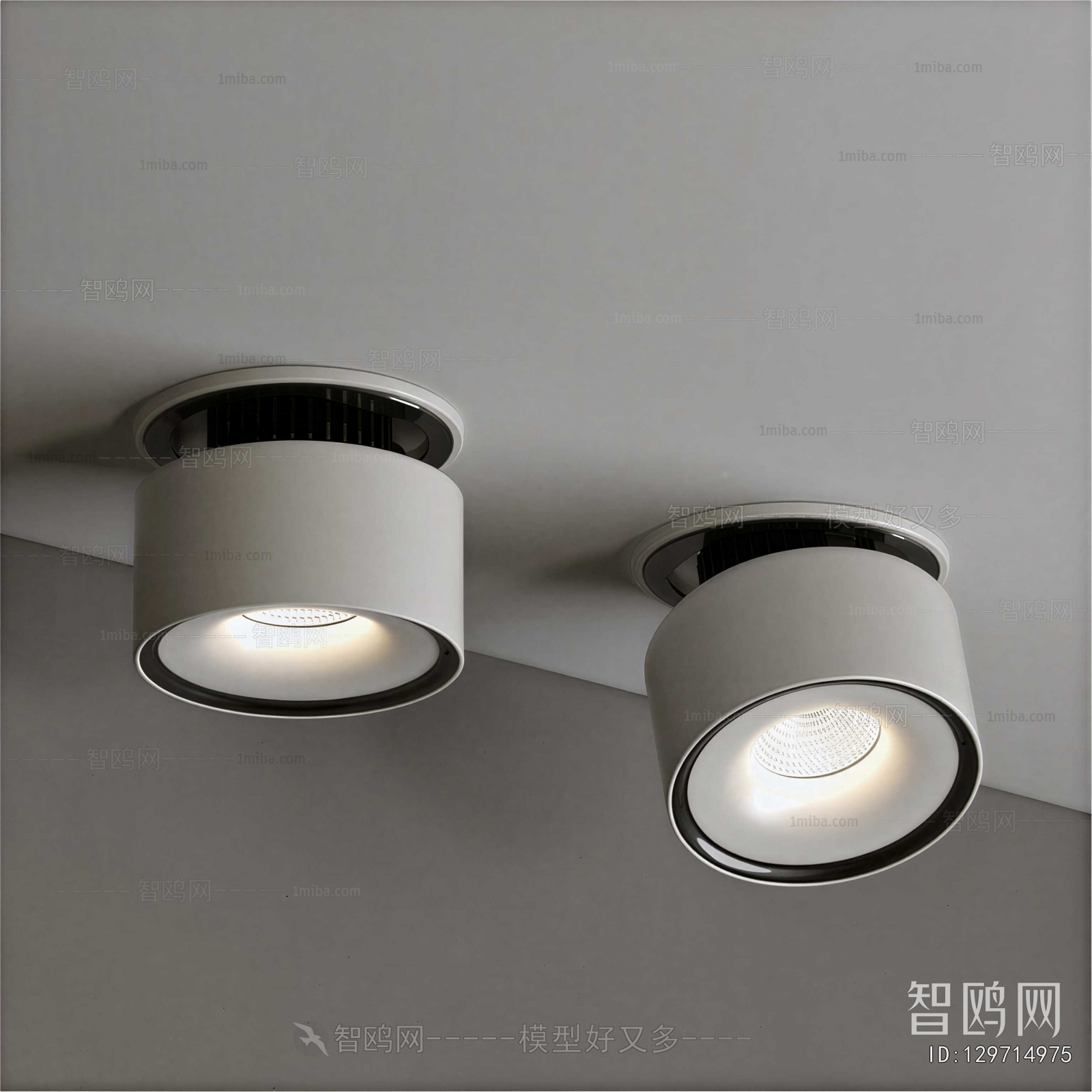 Modern Downlight Spot Light