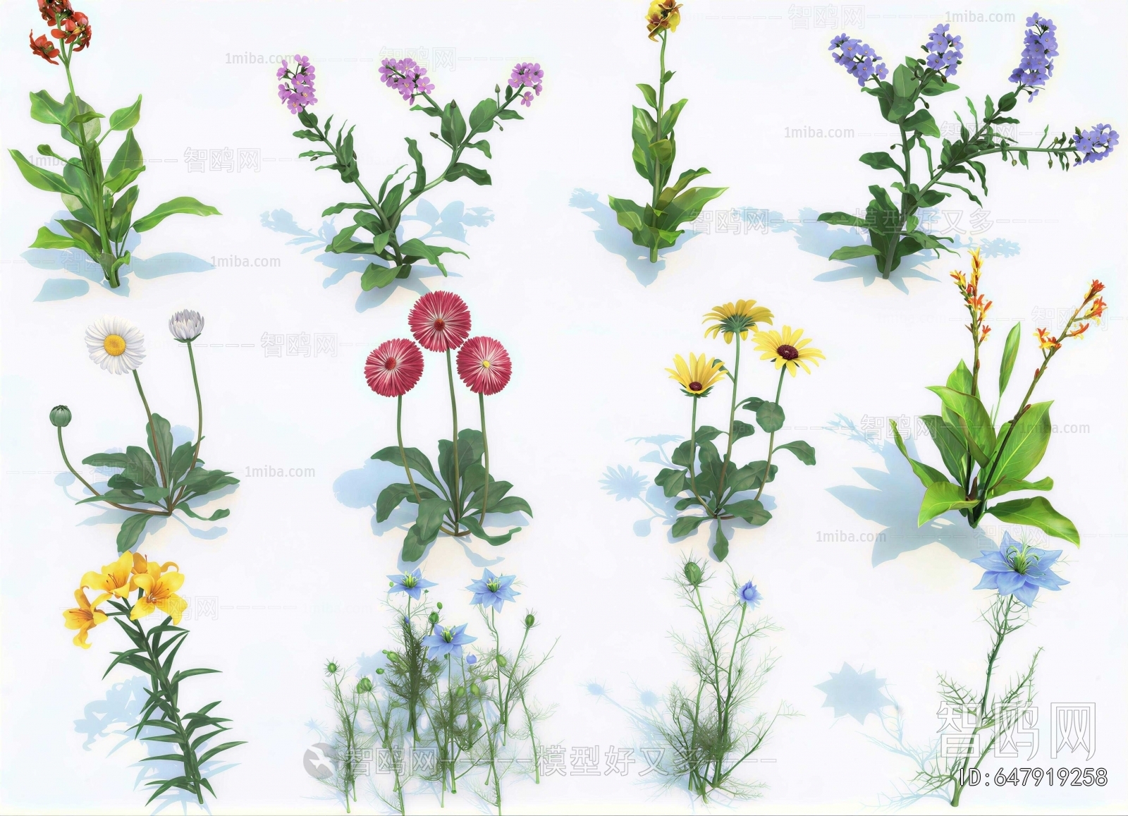 Modern Flowers And Grass