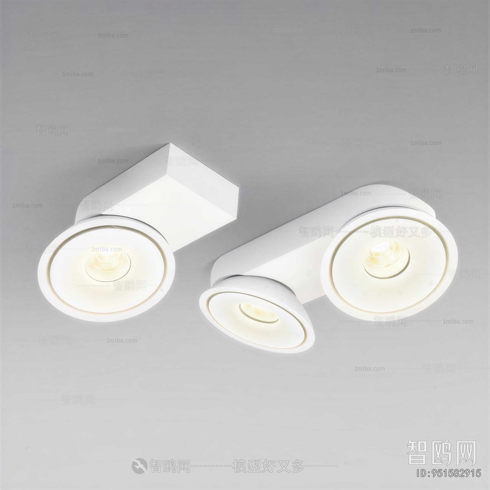 Modern Ceiling Ceiling Lamp