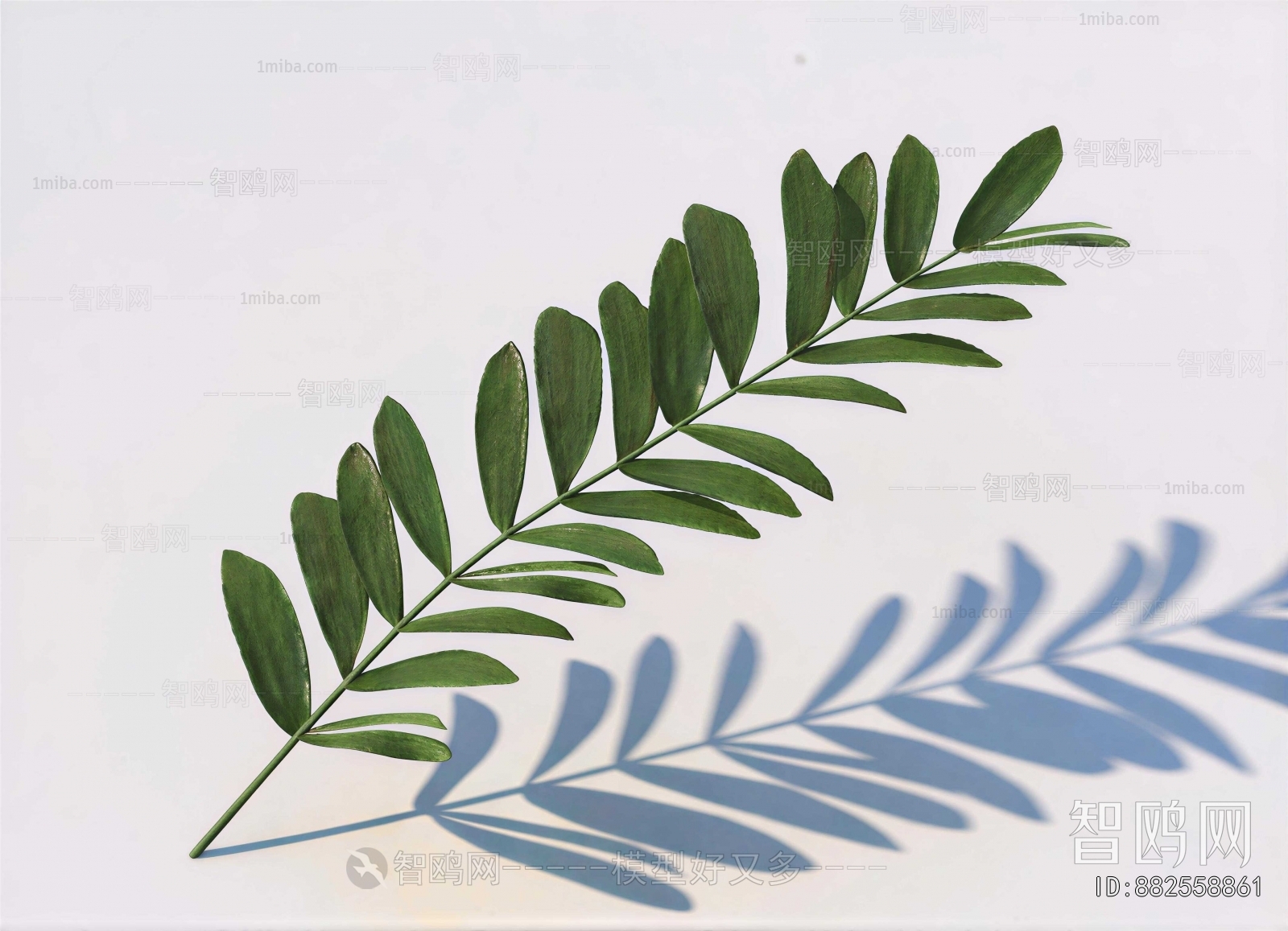 Modern Plant