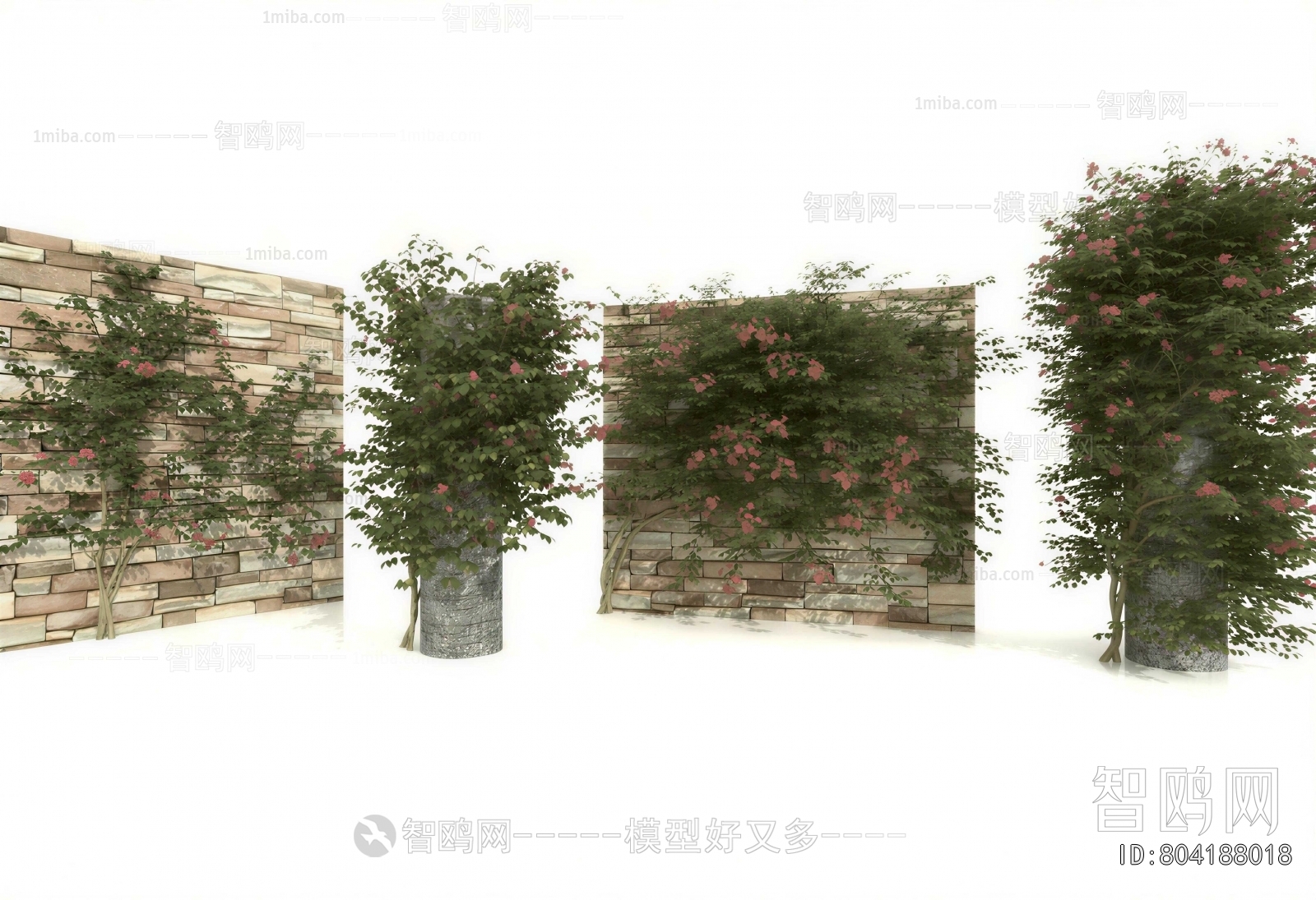 Modern Vine