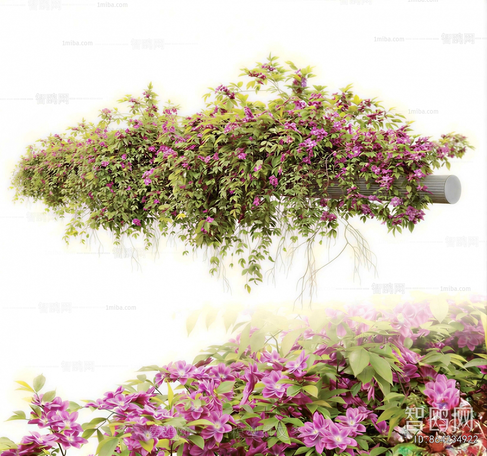Modern Vine