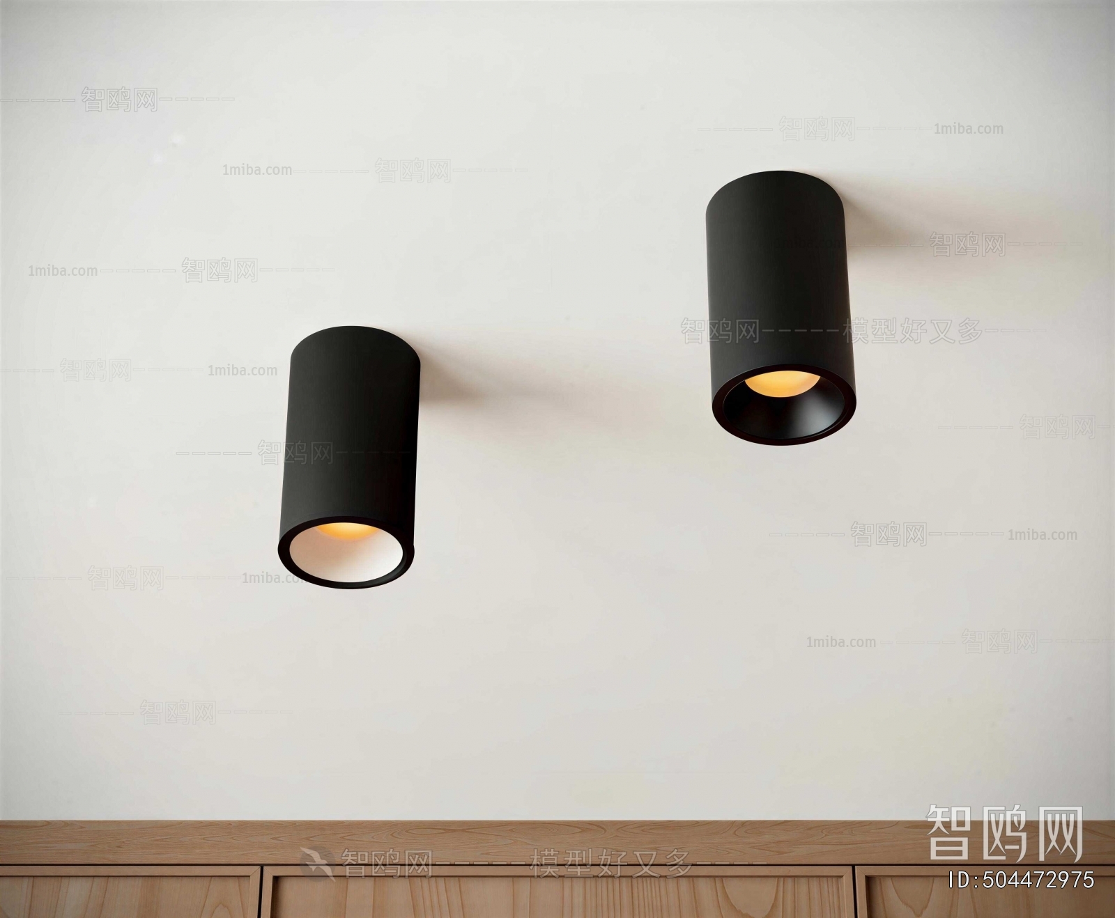 Modern Downlight Spot Light