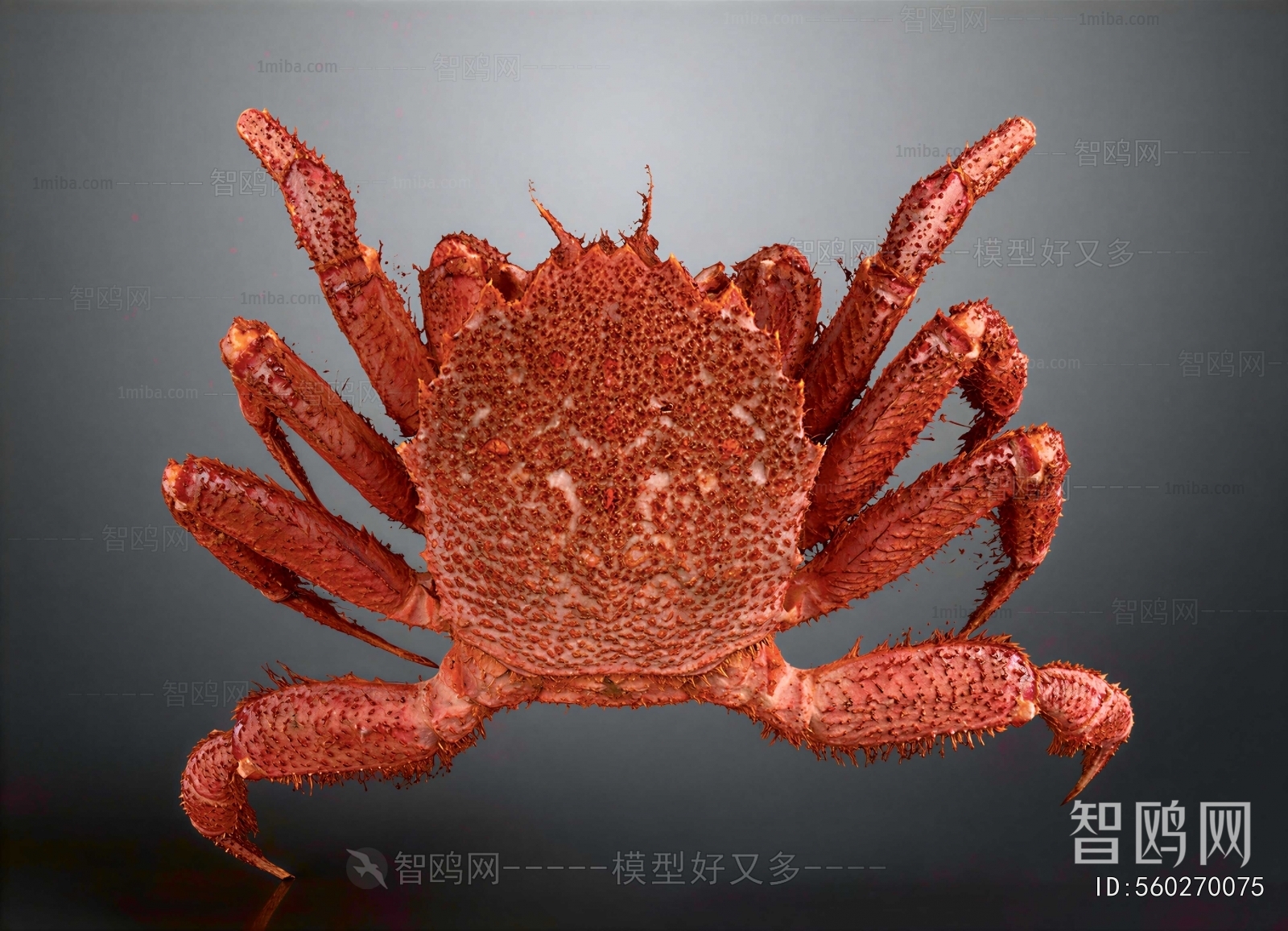 Modern Aquatic Animals