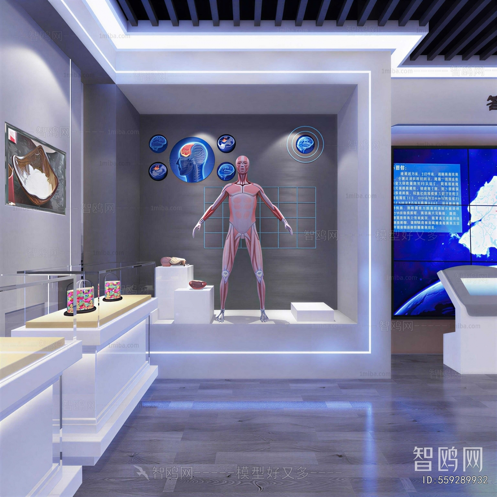 Modern Exhibition Hall
