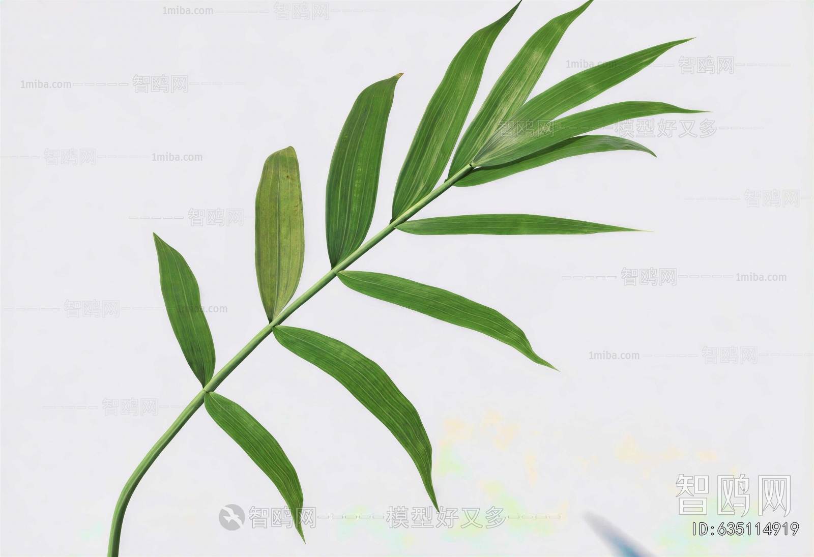 Modern Plant