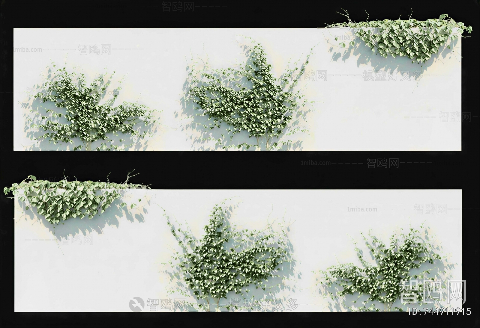 Modern Vine
