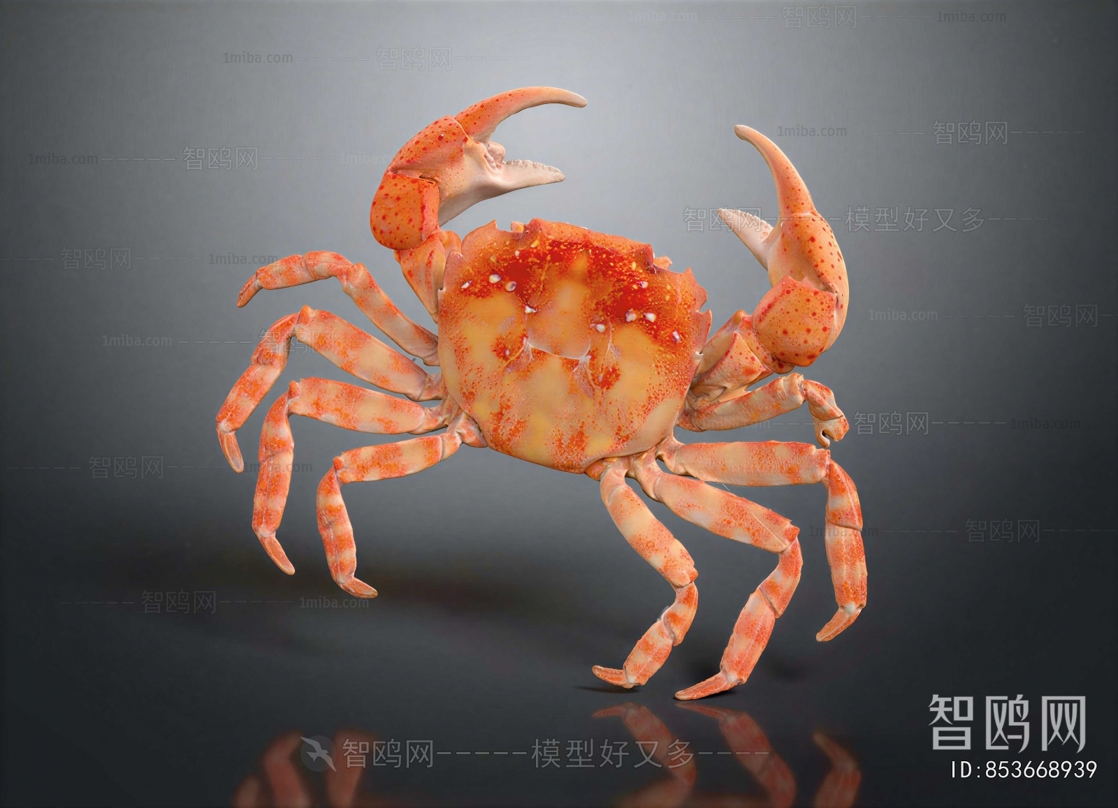 Modern Aquatic Animals