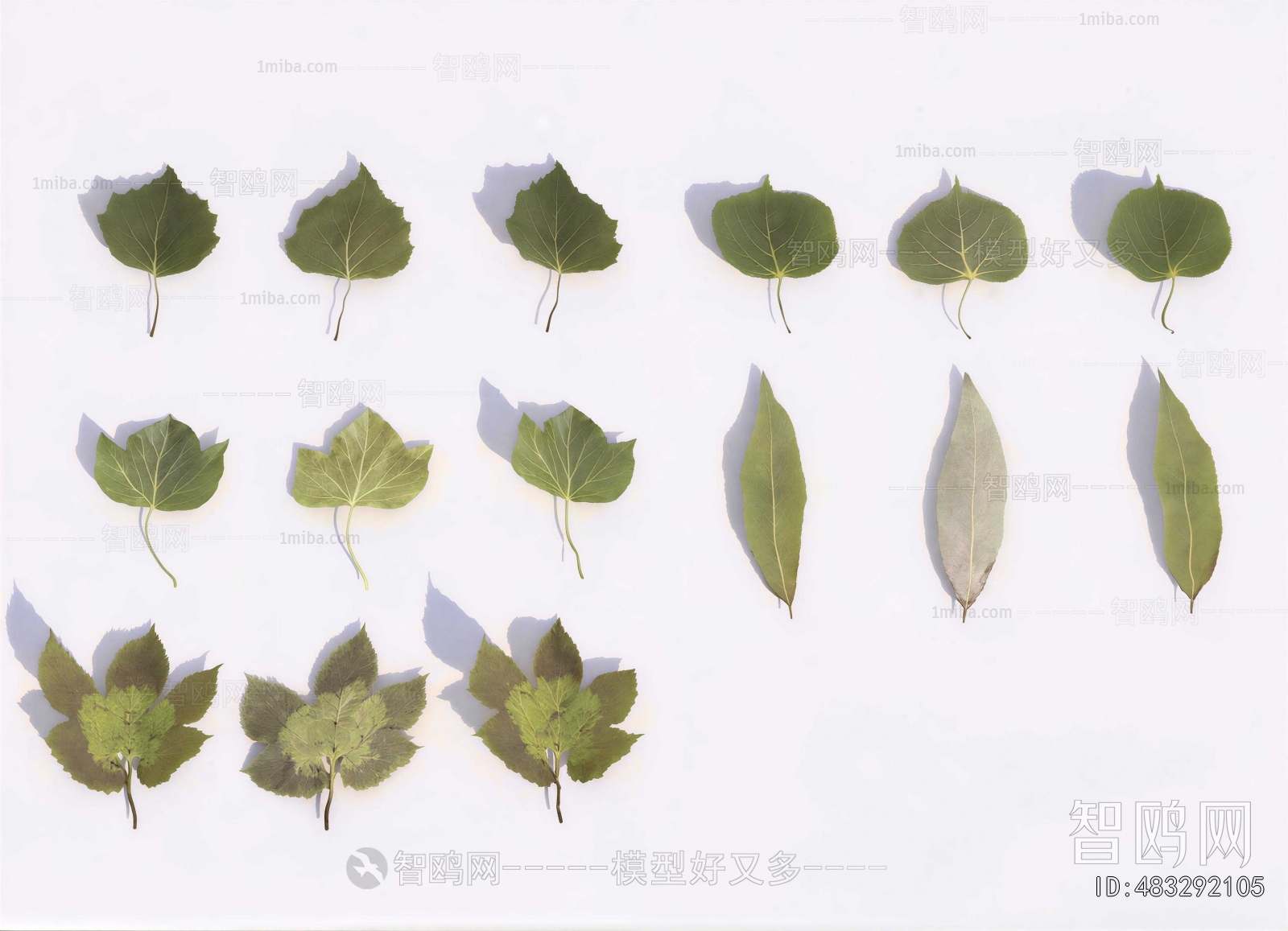 Modern Plant