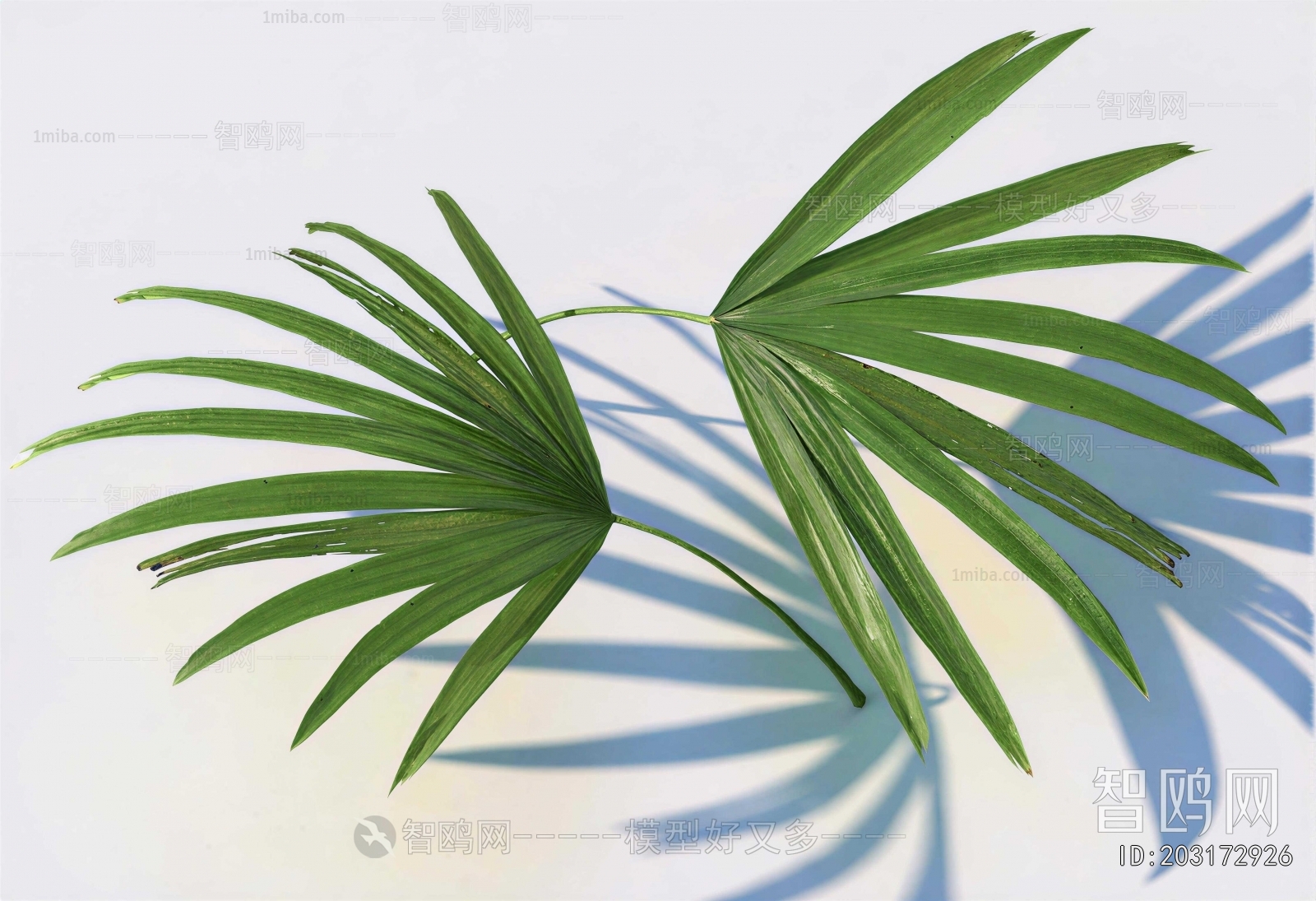 Modern Plant
