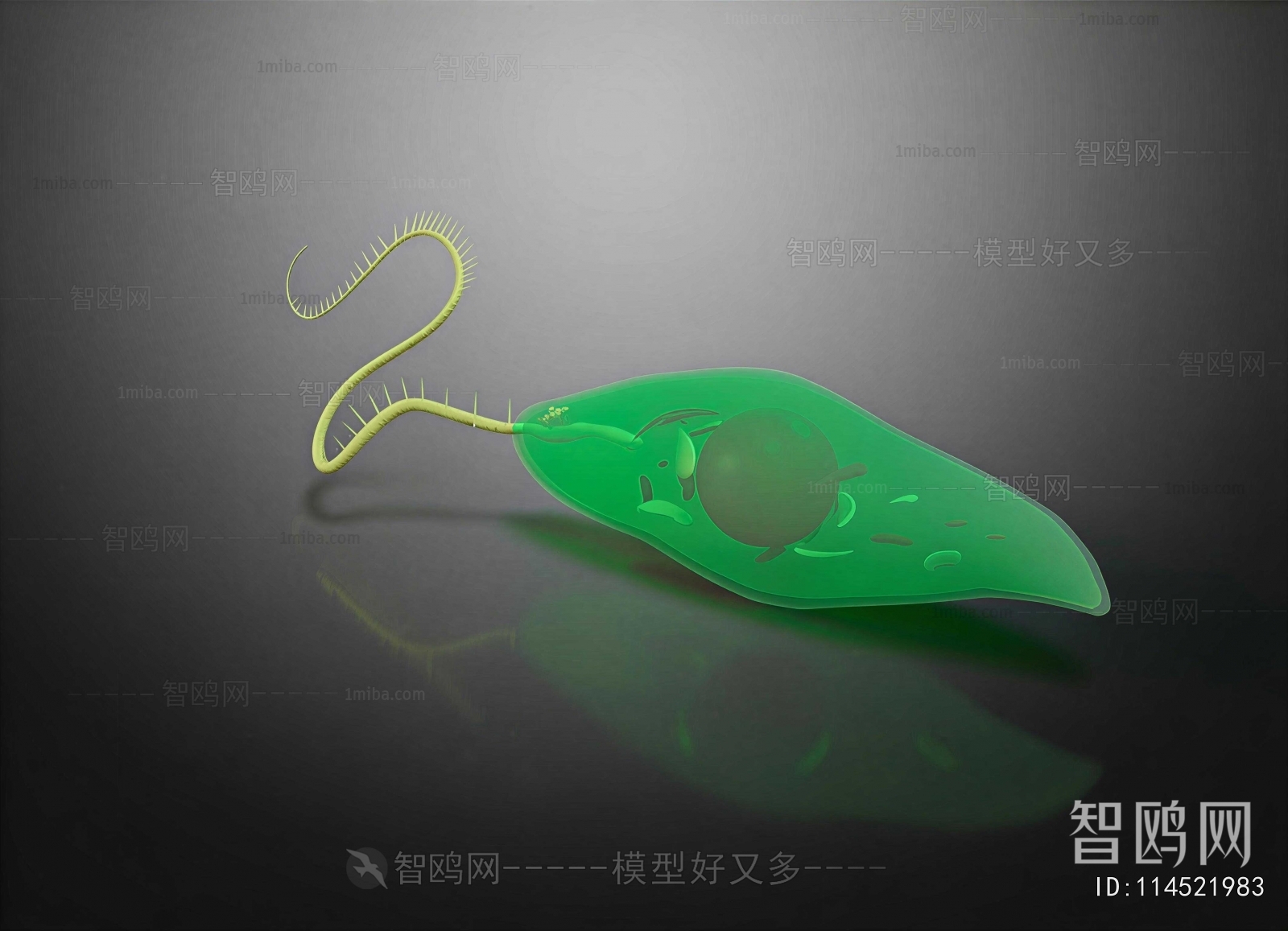 Modern Medical Equipment