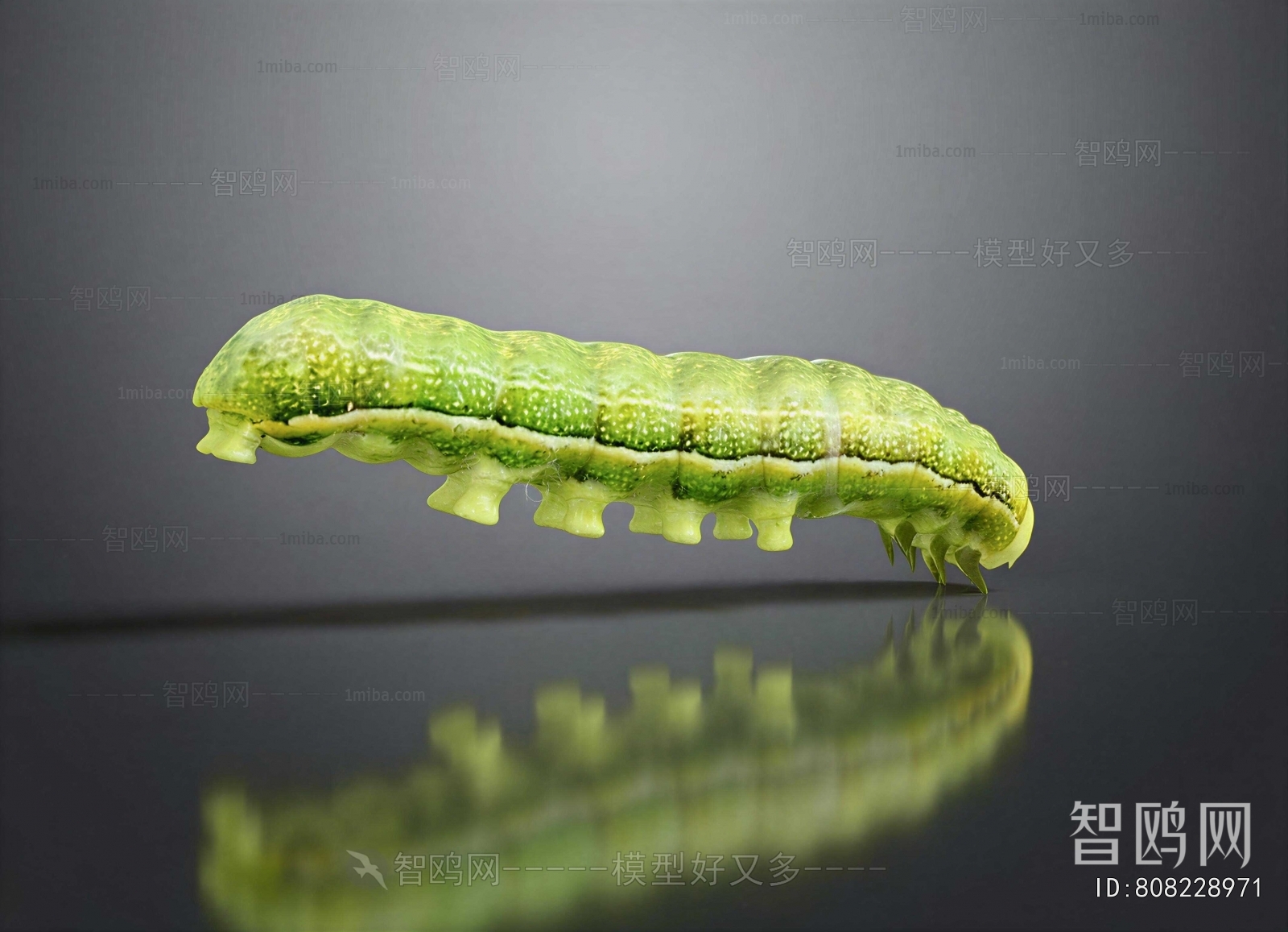 Modern Other Animals