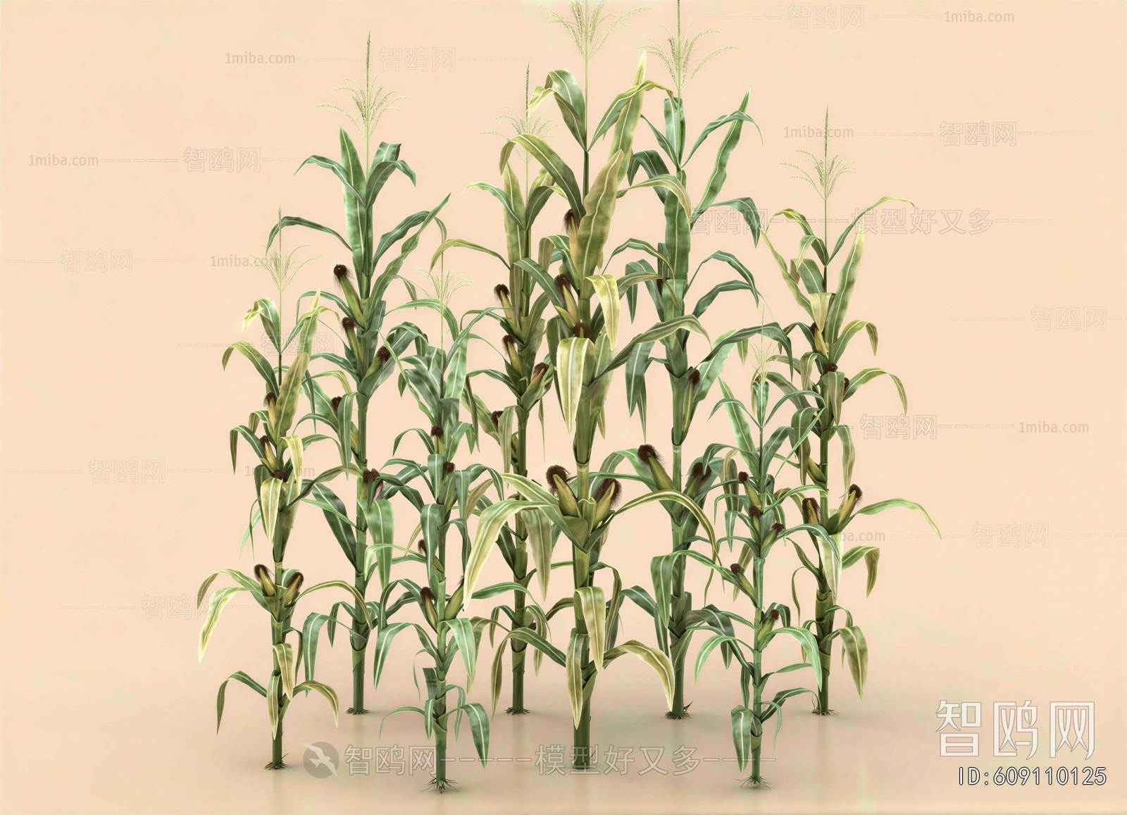 Modern Crop