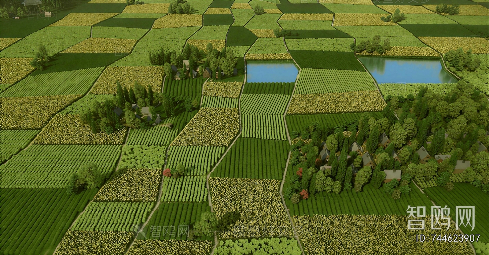 Modern Architectural Bird's-eye View Planning