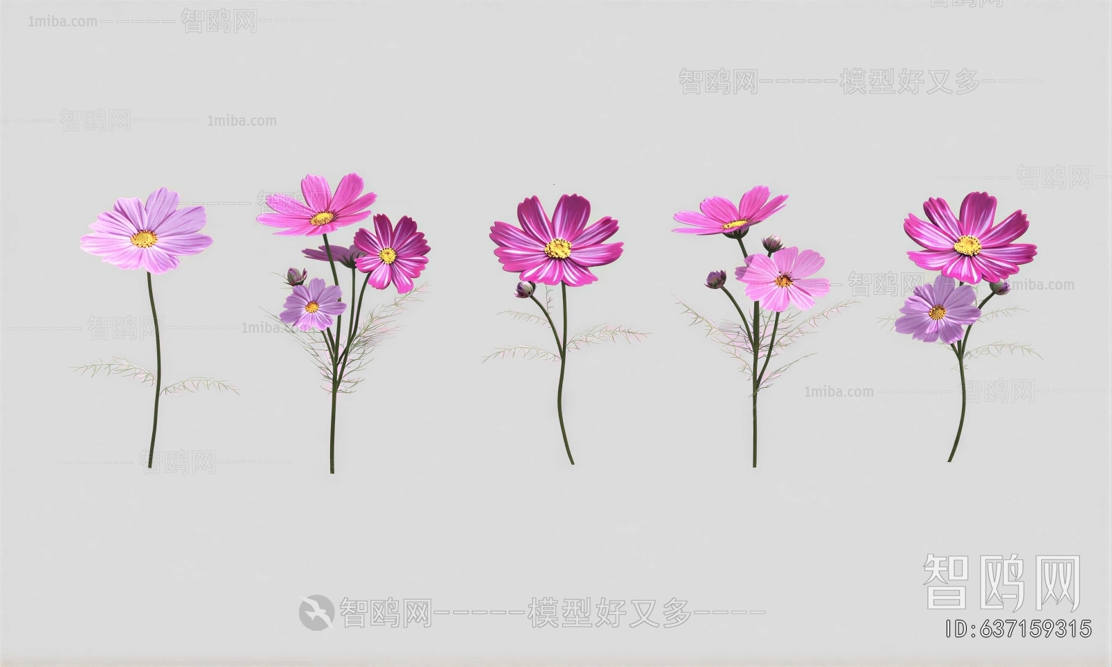 Modern Flowers And Grass